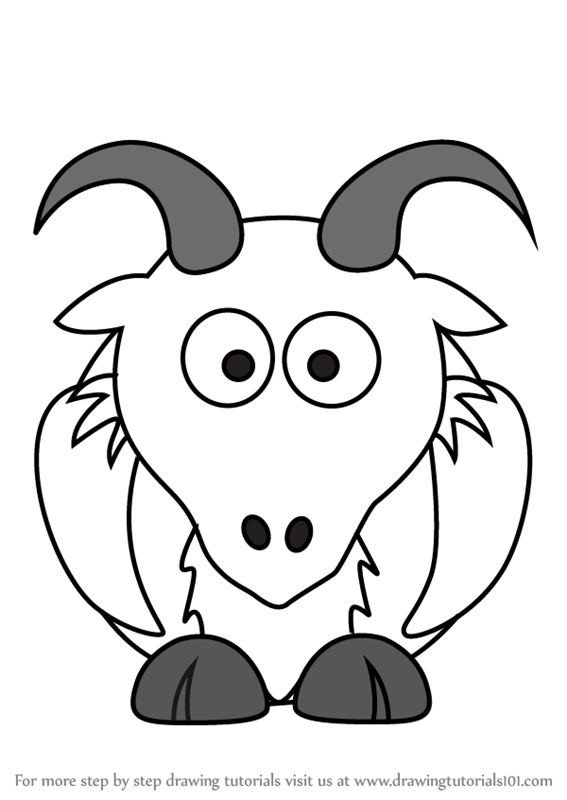 567x800 Learn How To Draw A Goat For Kids