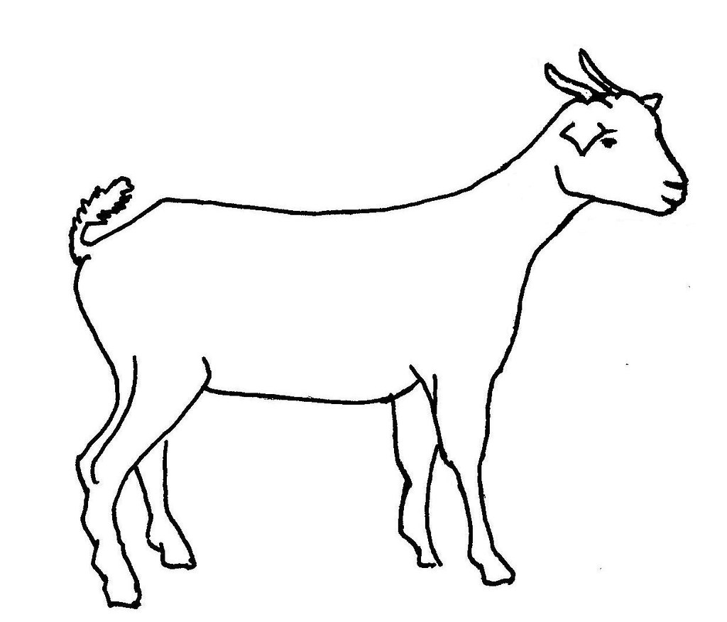 1024x876 Line Drawing Of A Goat Used In Information Flyer On 'good