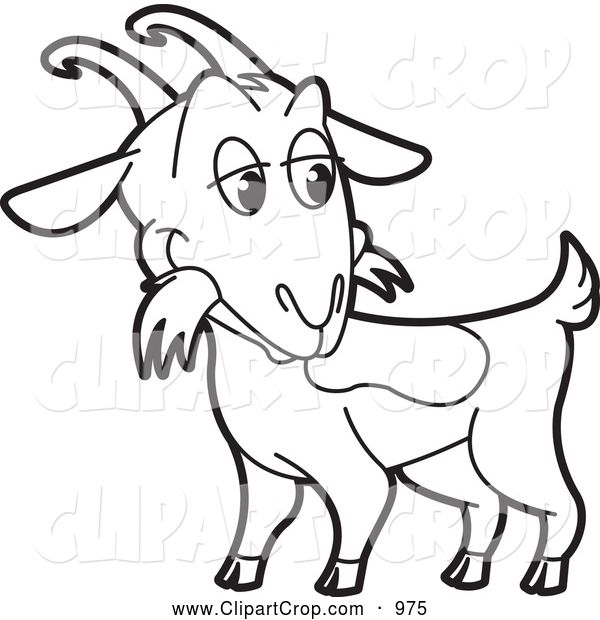 600x620 Beautiful Goat Sketch Style Hand Drawn Illustration Of Beautiful