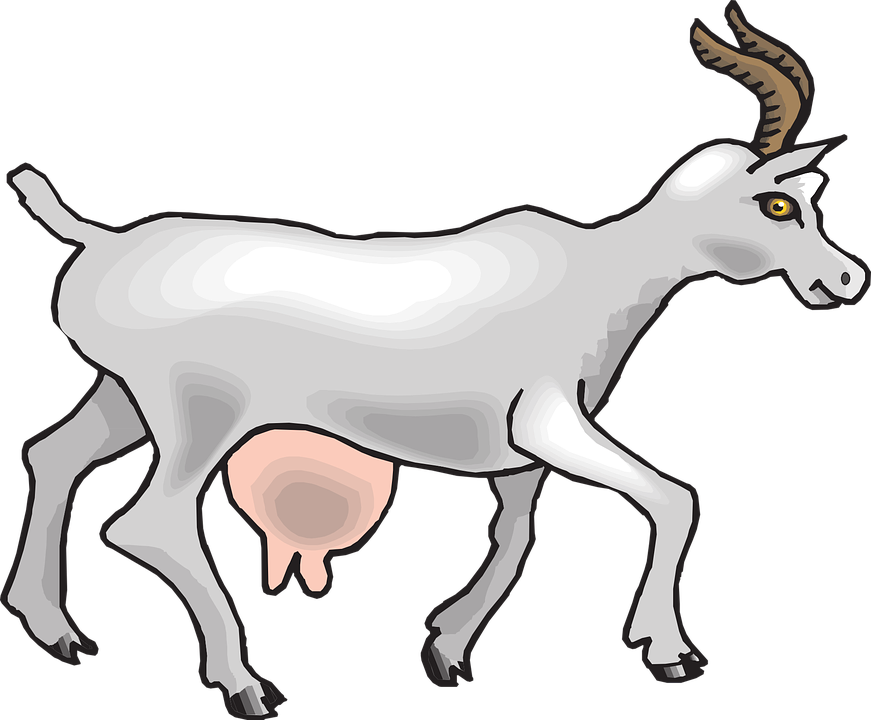 871x720 Collection Of Free Goat Drawing Side View Download On Ui Ex