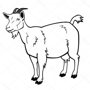 300x300 Linear Stylized Drawing Goats Head Vector Studiogrfx