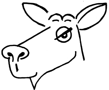 350x289 Step Drawing Cartoon Billy Goats Instructions