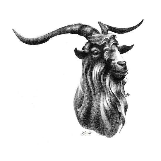 550x550 Billy Goat Head Posters