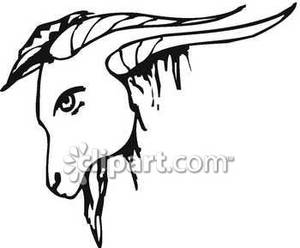300x248 Black And White Goat's Head