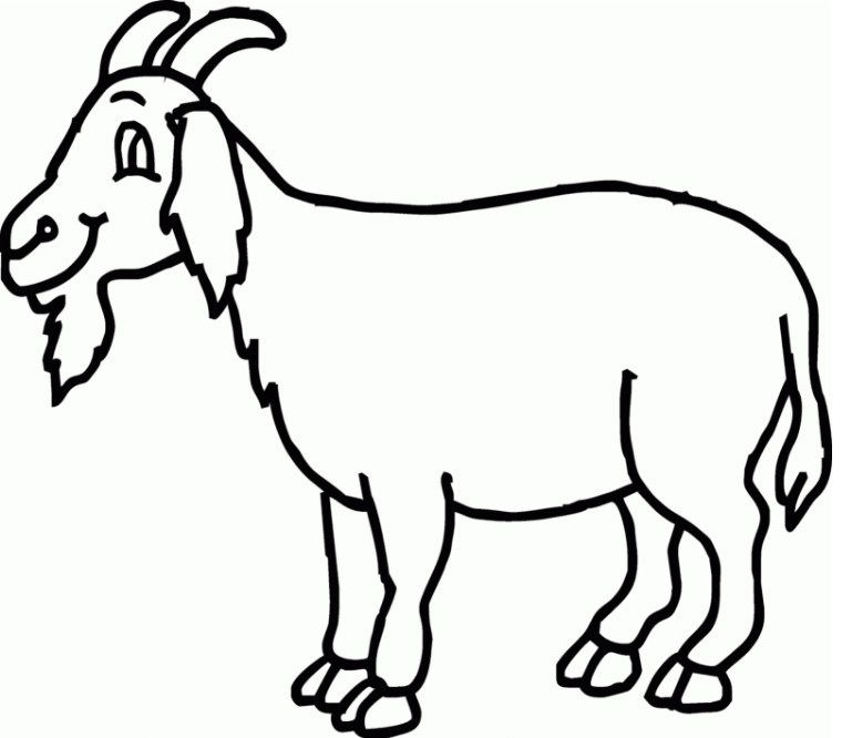 Goat Line Drawing