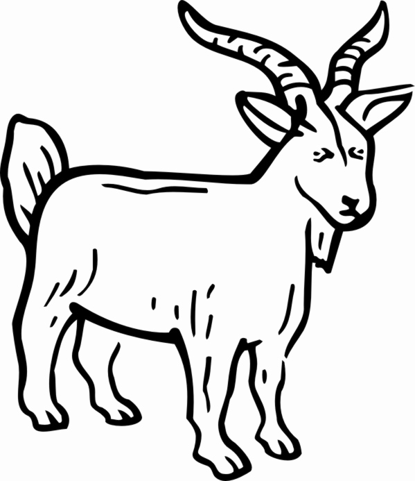 Goat Line Drawing | Free download on ClipArtMag