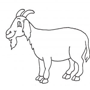 300x300 Goat Tail Drawing Archives