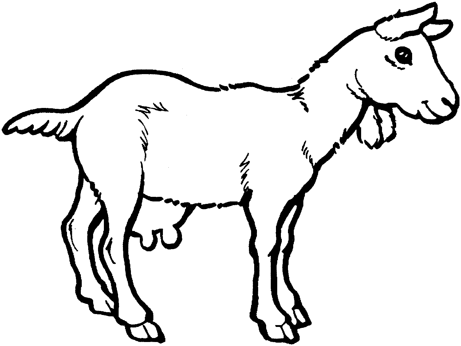 1500x1125 Coloring Pages Of Goats Drawing And A Goat Learning Farm Animals