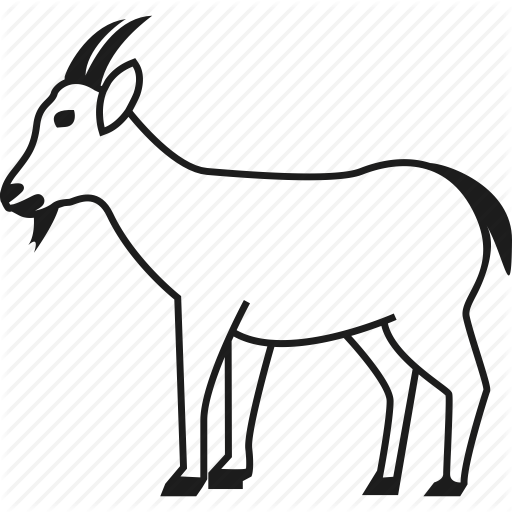 512x512 Drawing Goats Outline Transparent Png Clipart Free Download