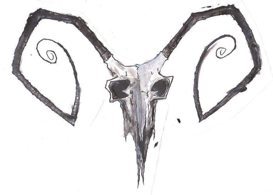 900x643 Goat Skull