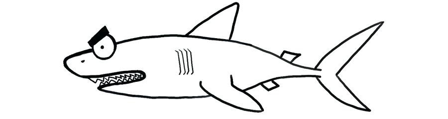 900x240 Drawing Sharks How To Draw A Shark Step Whale Shark Drawing Easy