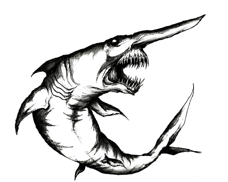 800x637 Goblin Shark