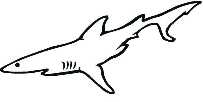 700x355 hammerhead shark coloring pages great hammerhead shark coloring
