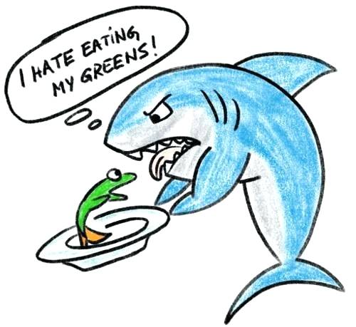 500x459 How To Draw A Shark Shark How To Draw Shark Head Running