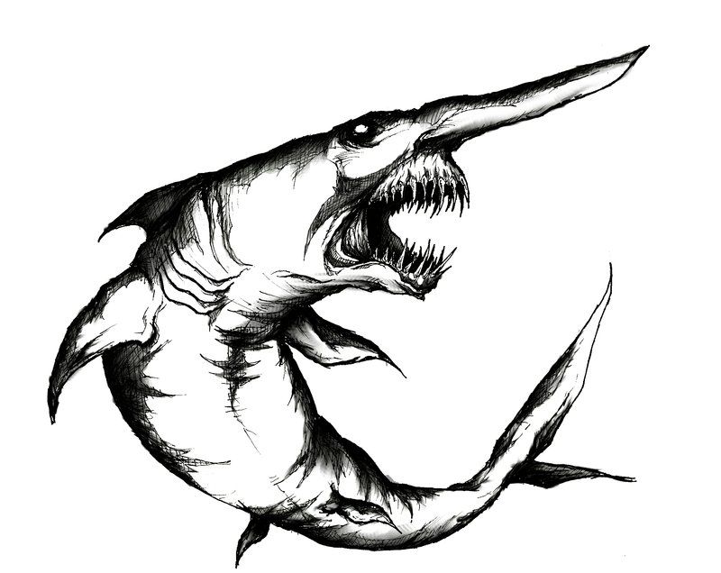 800x636 Sharks Goblin Shark, Shark, Animals