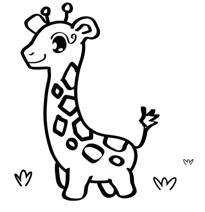 700x723 Giraffe Drawing Easy Easy Giraffe Drawing Fresh Product