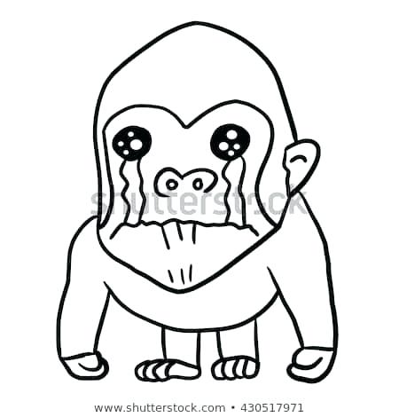 450x470 gorilla drawing gorilla drawing easy