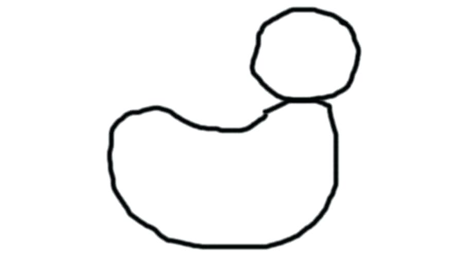 877x500 Easy Ducks To Draw How To Draw A Duck Art For Kids Hub Easy Duck