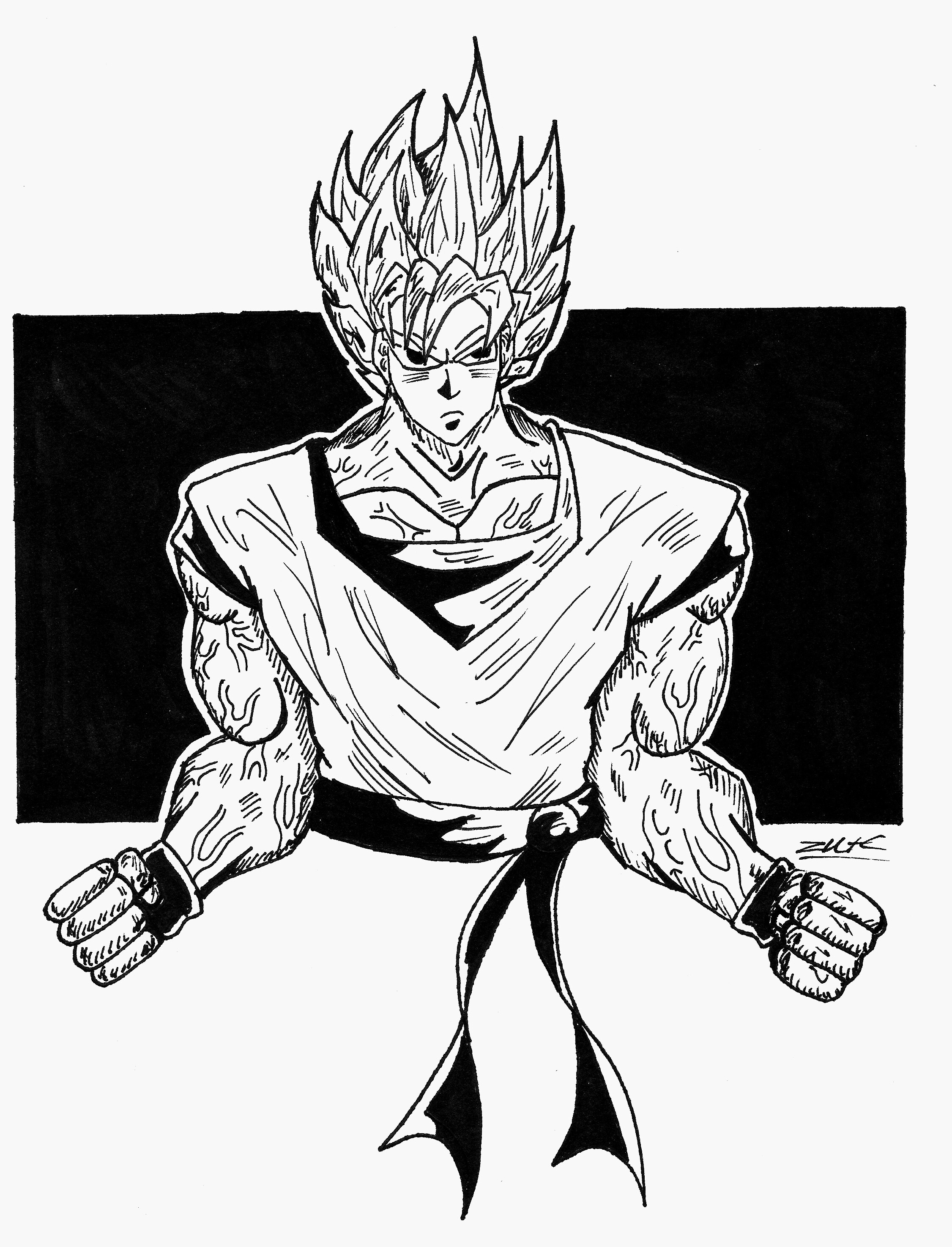 2252x2949 Goku