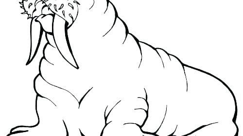 500x280 Ku Coloring Pages Coloring
