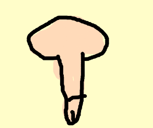 300x250 Farm Animals Bully Gold Coin