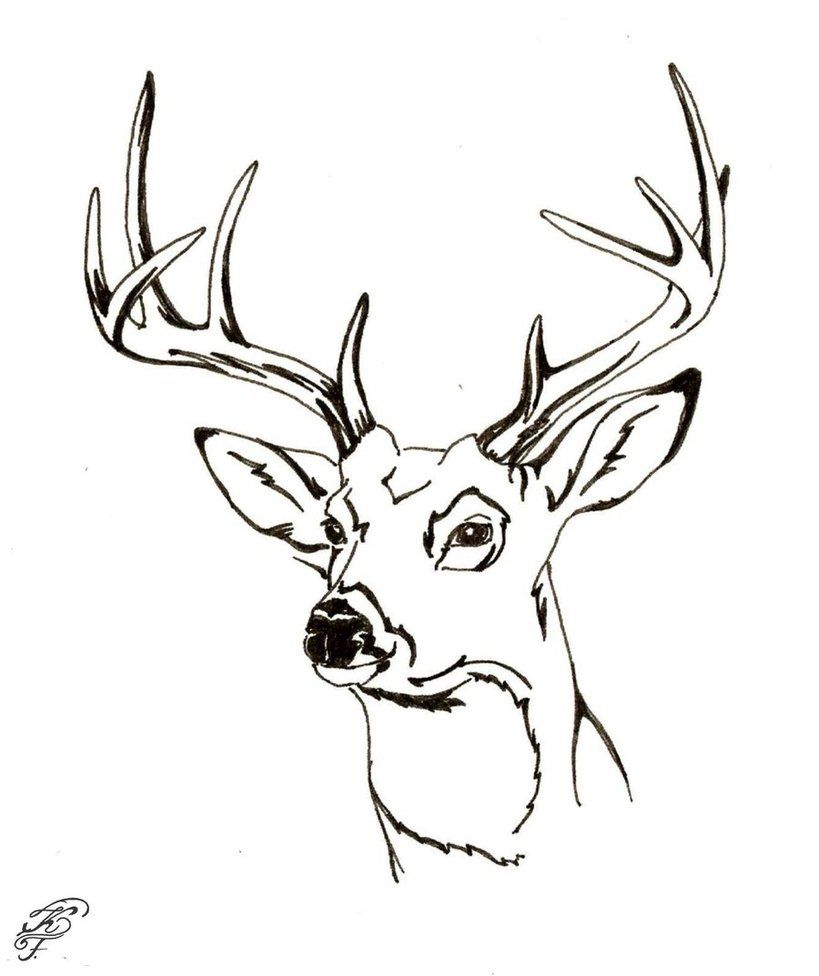 819x976 Reindeer Gold Drawing