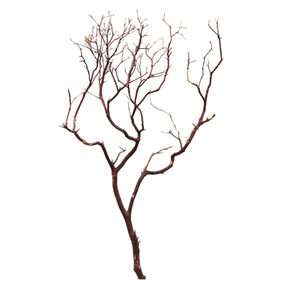 400x400 Gold Leaf Natural Manzanita