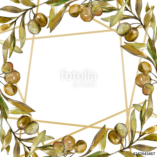 500x500 green olives watercolor background illustration set watercolour