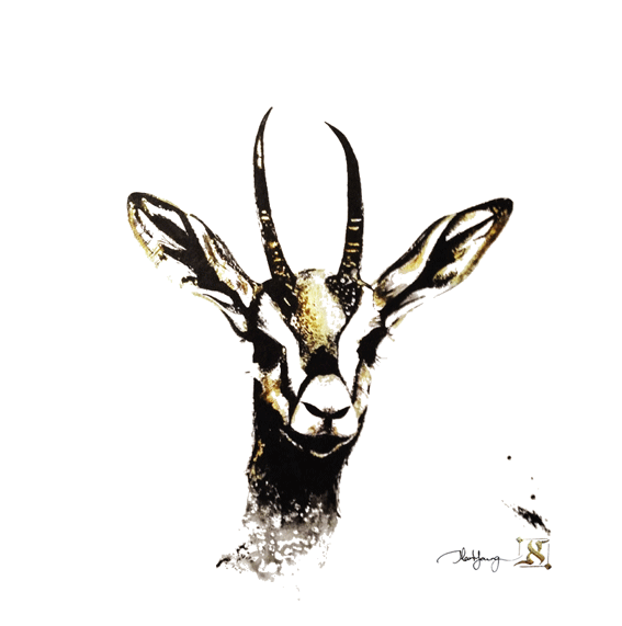 567x571 Original Artwork Gazelle Painted Using Ink And Pure Karat Gold