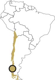 186x270 Mandalay Resources Cerro Bayo