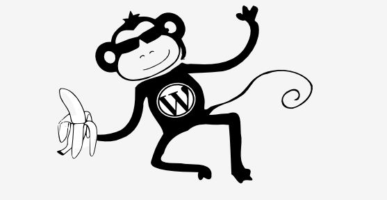 557x289 Wso Gold Mine