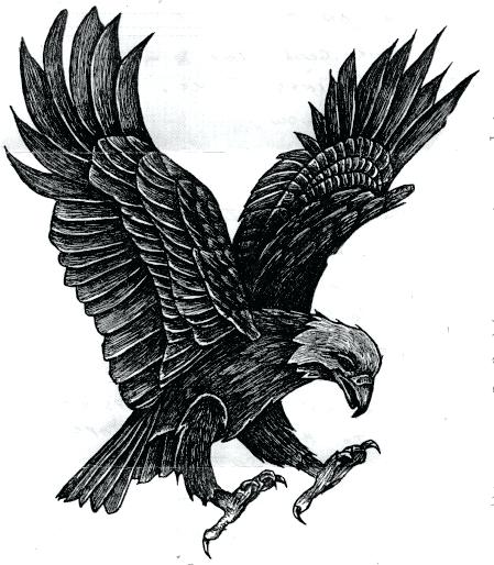 449x514 Eagle Drawings Pictures Eagle Drawing The Best Tattooed Images