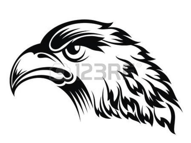 640x480 Golden Eagle Clipart Egle