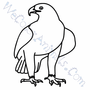 300x300 Golden Eagle Coloring Pages