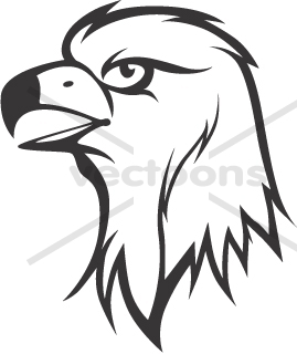 Golden Eagle Drawing | Free download on ClipArtMag