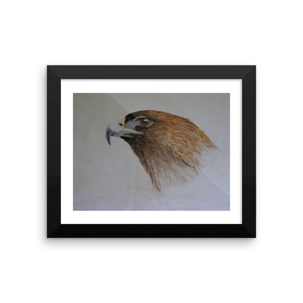 1000x1000 Golden Eagle Study Framed Photo Paper Poster Joanne Helfert Sullam