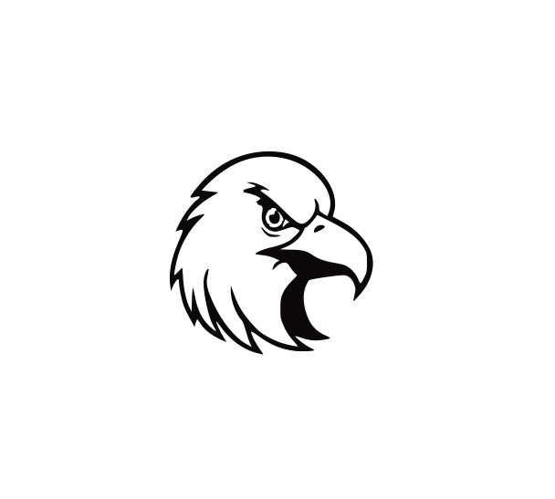 608x547 Golden Eagle Eagle Bald Eagle College