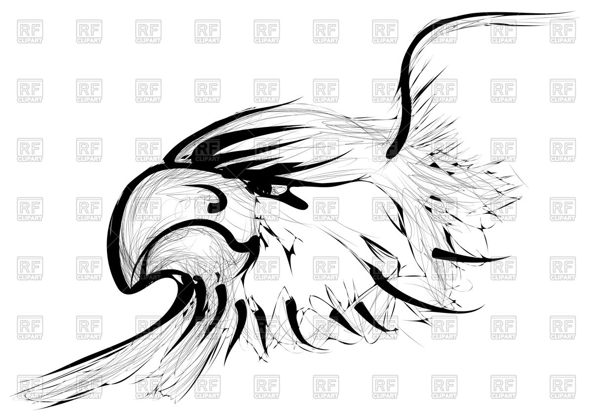 1200x849 Golden Eagle Isolated On A White Background Vector Image Of Plants