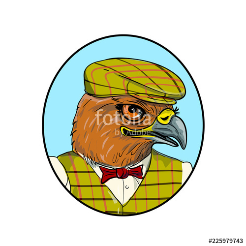 500x500 Outdoorsman Hawk Head Drawing Stock Image And Royalty Free Vector