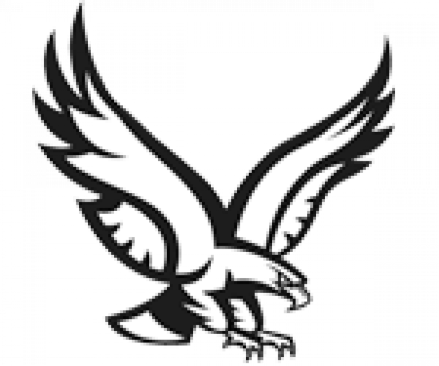 900x750 Eagle, Leaf, Bird, Transparent Png Image Clipart Free Download