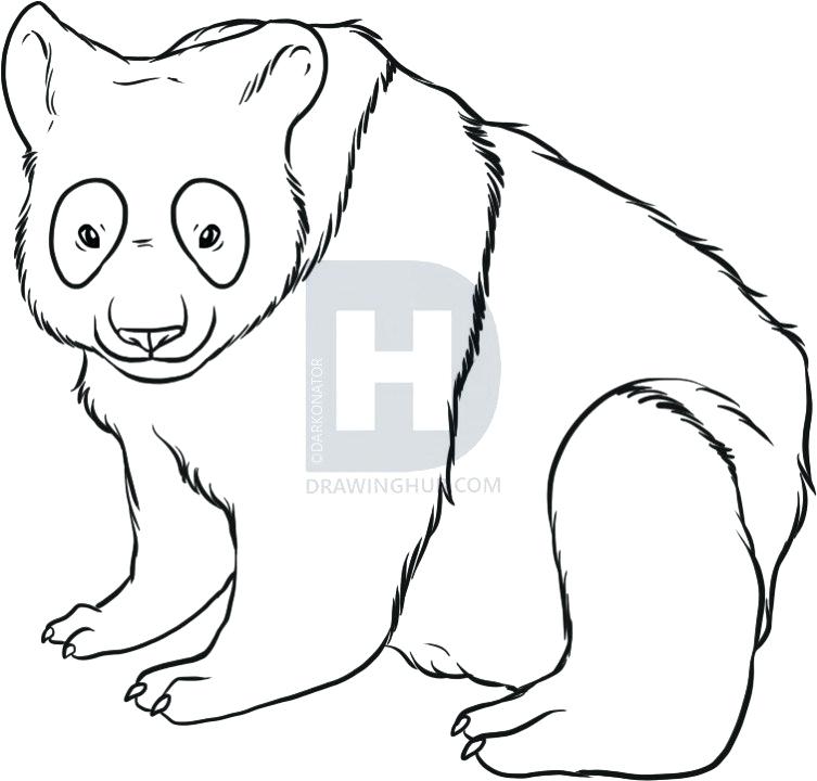 753x720 How To Draw A Chinese Panda How To Draw A Panda Step How