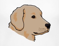 190x147 golden retriever, dog, head, comic, drawing maternity t shirt