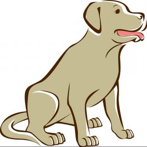 300x300 Golden Retriever Outline Drawing Vector Arenawp