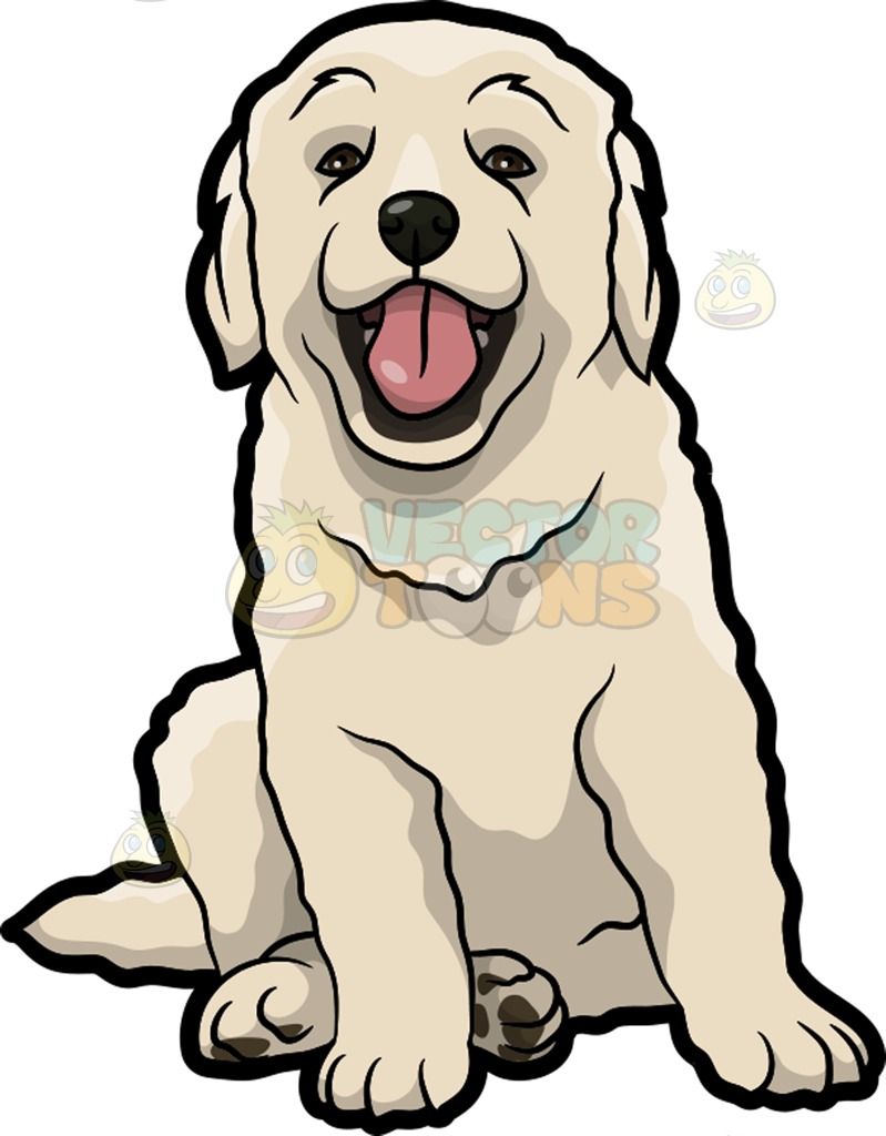 799x1024 A Cute Golden Retriever Puppy A Dog With Long Scruffy Off White