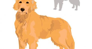 367x195 Golden Retriever Silhouette Archives