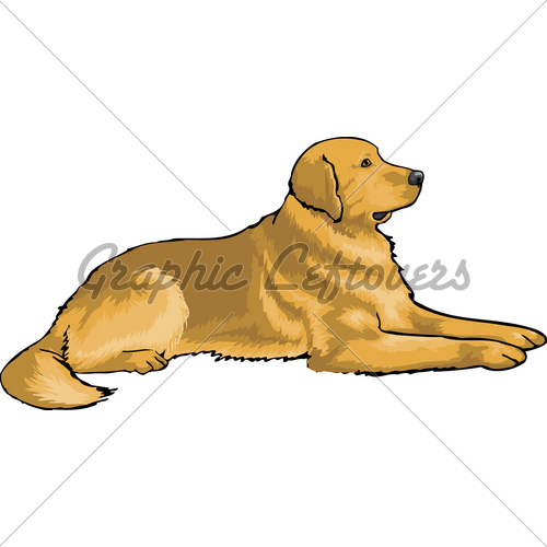 500x500 Golden Retriever Gl Stock Images