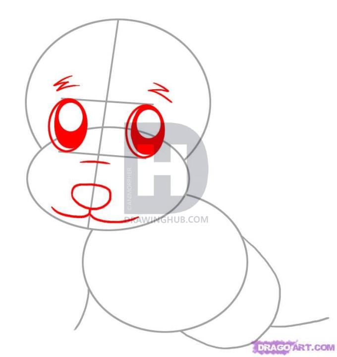 680x720 How To Draw A Golden Retriever, Step