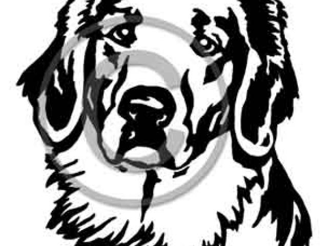 640x480 Free Drawn Golden Retriever, Download Free Clip Art