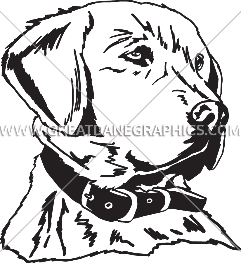 825x903 Golden Retriever Clipart Black And White For Free Download And Use