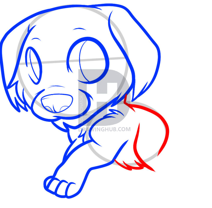 732x720 how to draw a golden retriever puppy, golden retriever, step